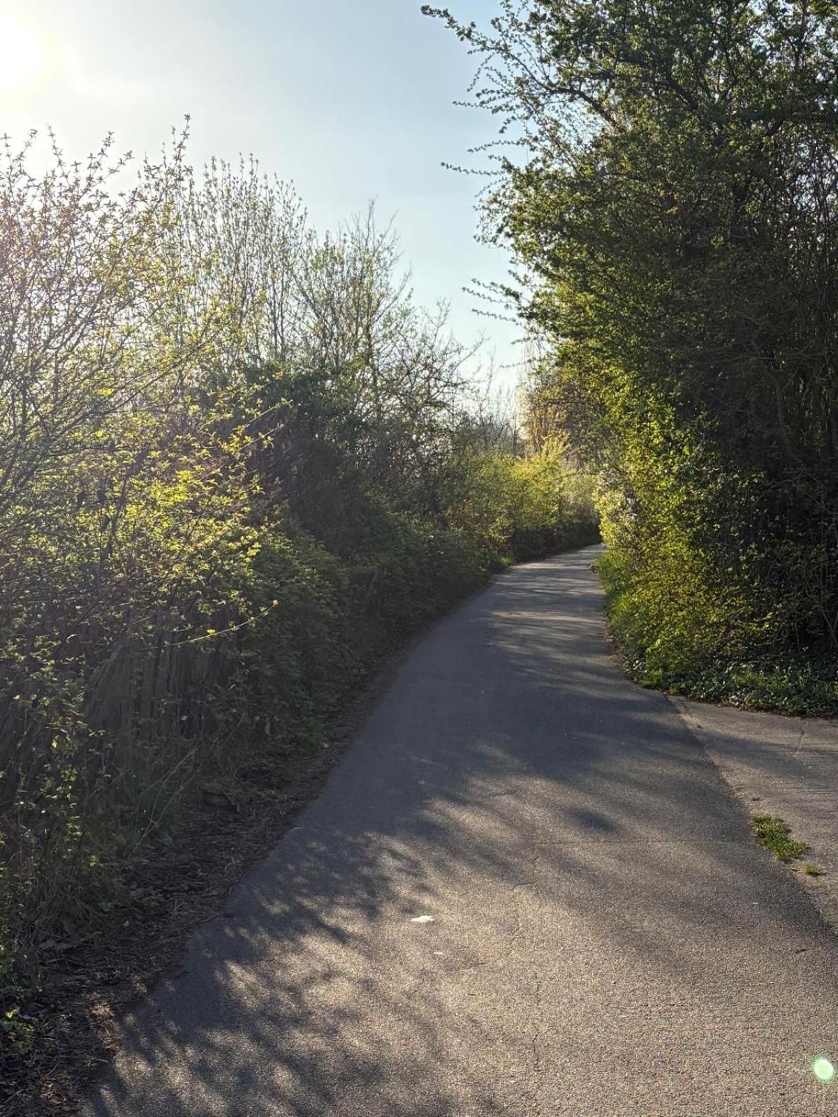 Escale-Marne Fr - 202 - Free Parking - Free Luggage Storage - All Equipped - Linen Included - Washing Machine - 10Mn Walk Metro 8 - Rer A - Panoramic View - From 1 To 14 Guests Maisons-Alfort Kültér fotó
